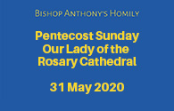 bishops-homily-31may2020