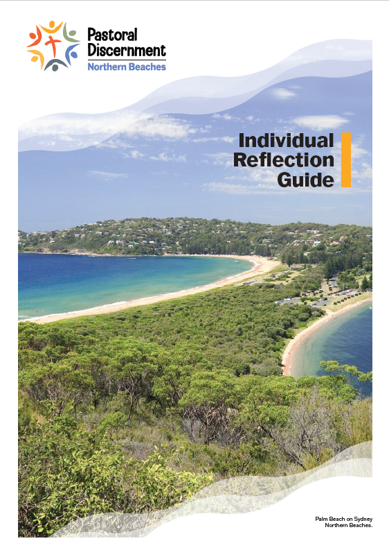 Individual Reflection Guide