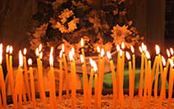 DSCN8731_sm2