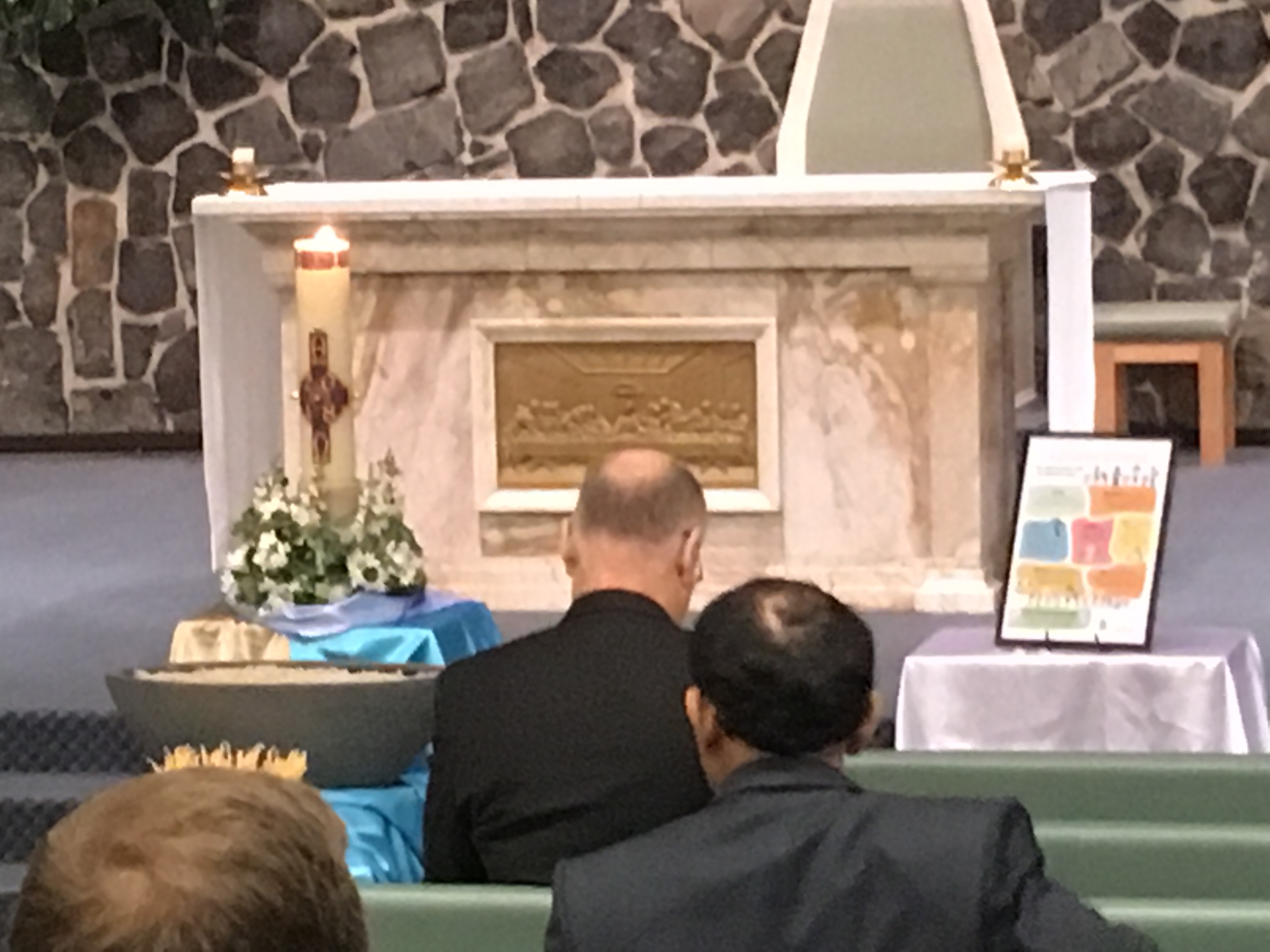 Broken Bay holds Liturgy of Commitment and Care Catholic Diocese of