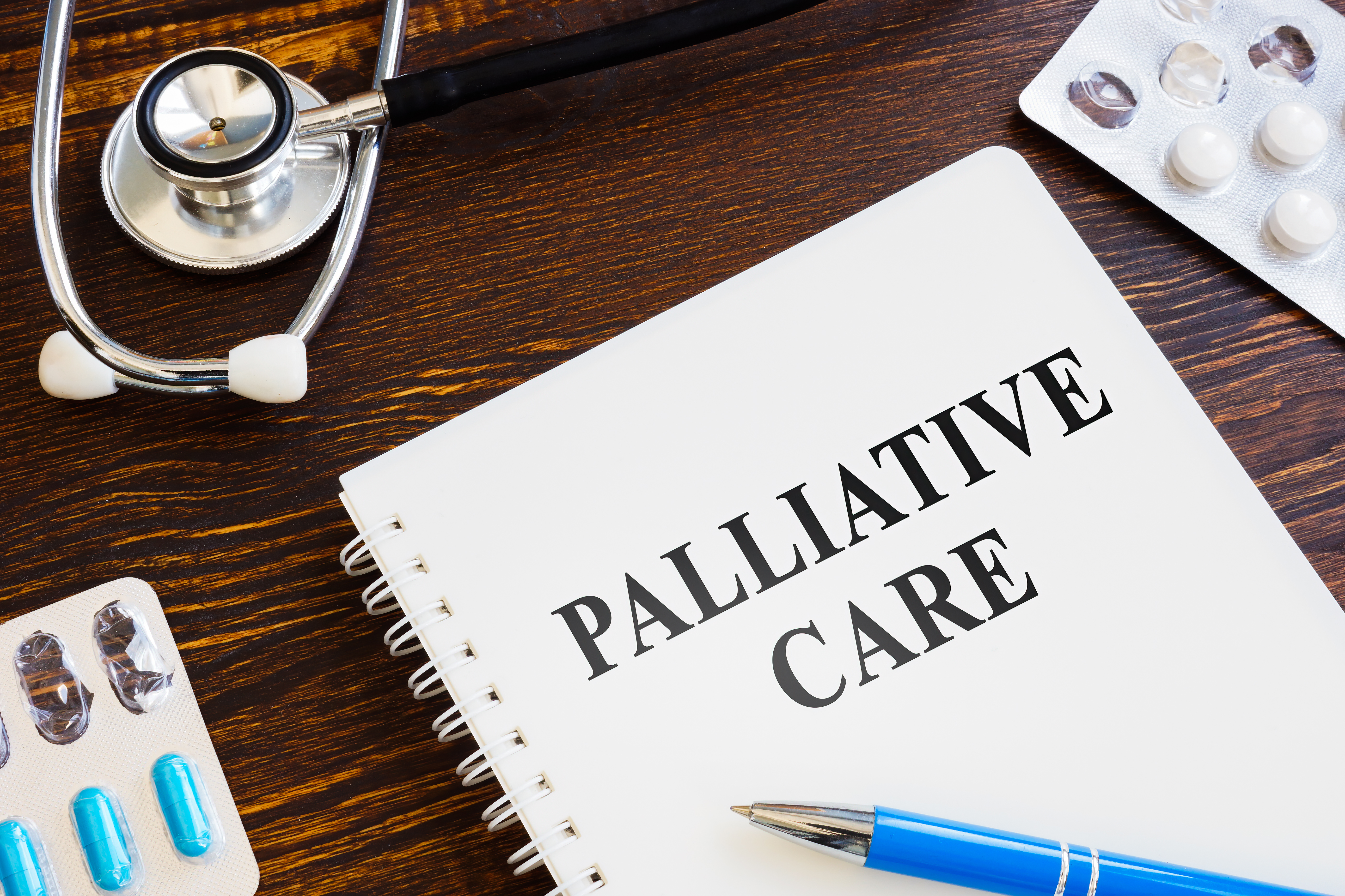  Palliative Care 