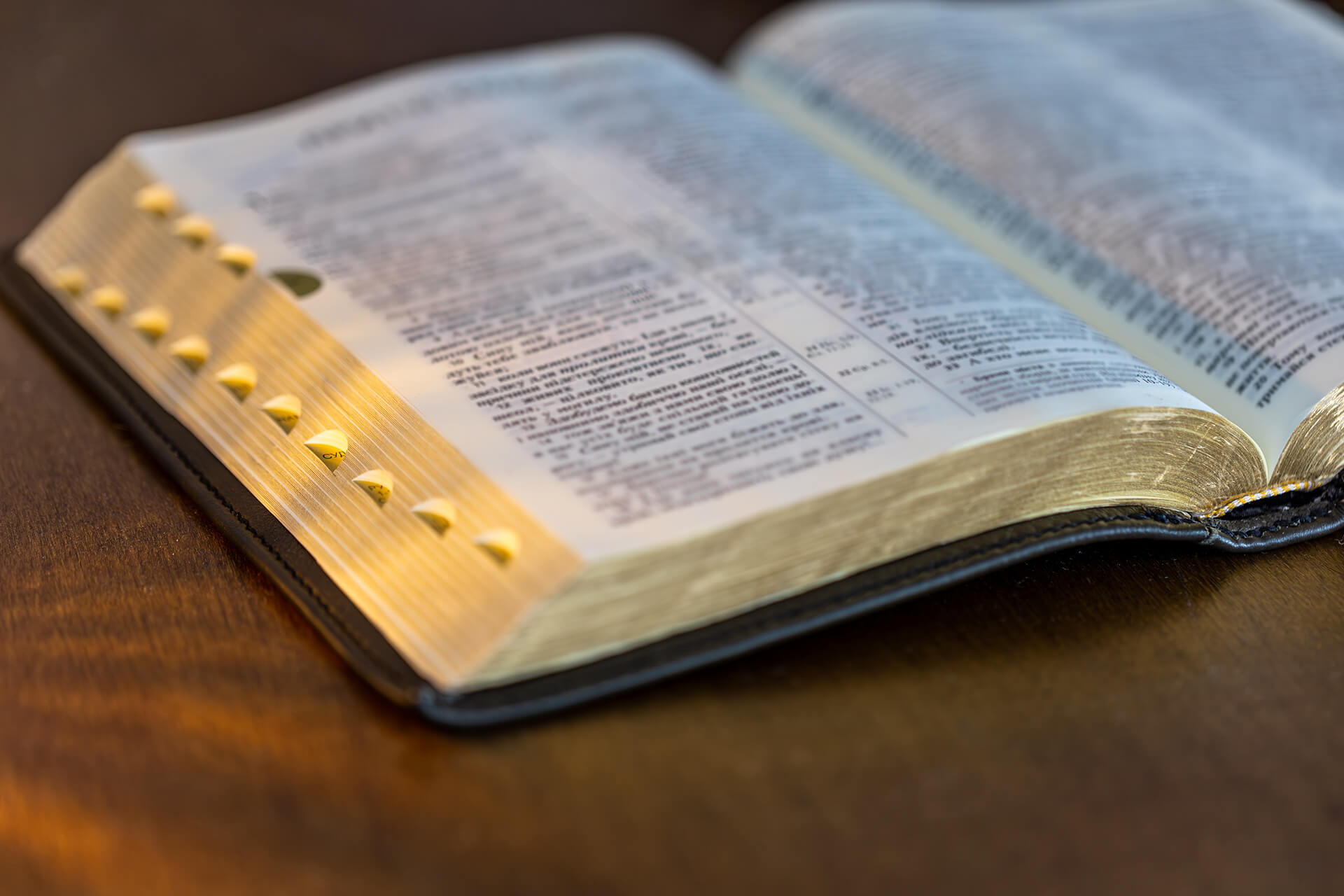 Pope Leo XIV publishes first encyclical Magnifica Humanitas