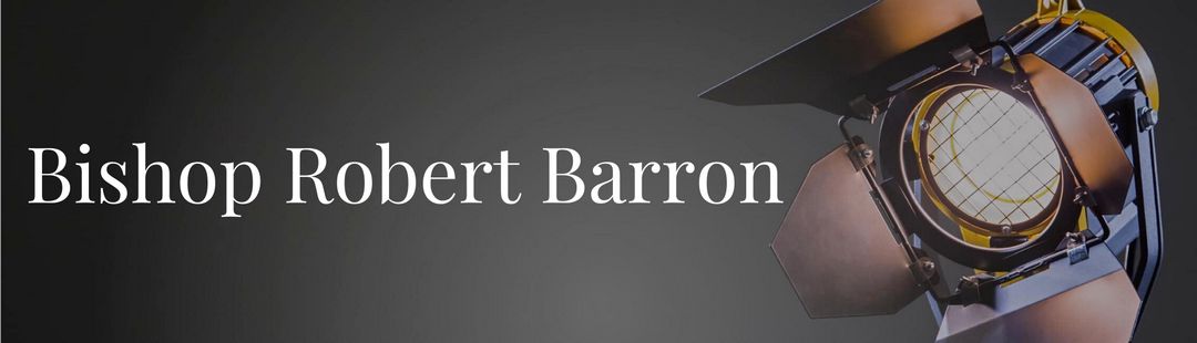 Robert Barron video banner