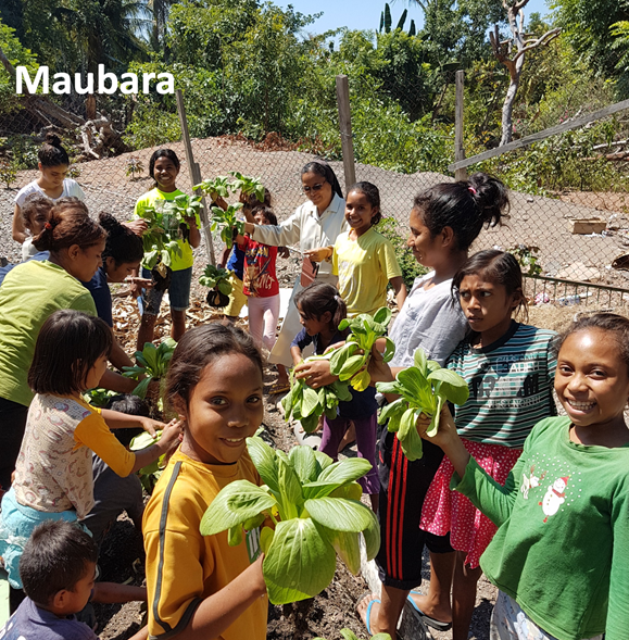 Timor 1
