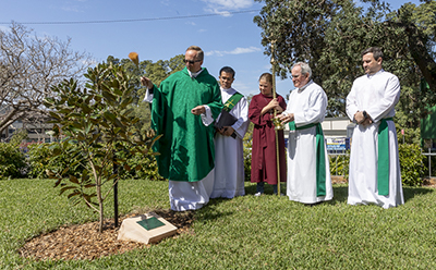 Blessing of Remembrance Tree-web 400