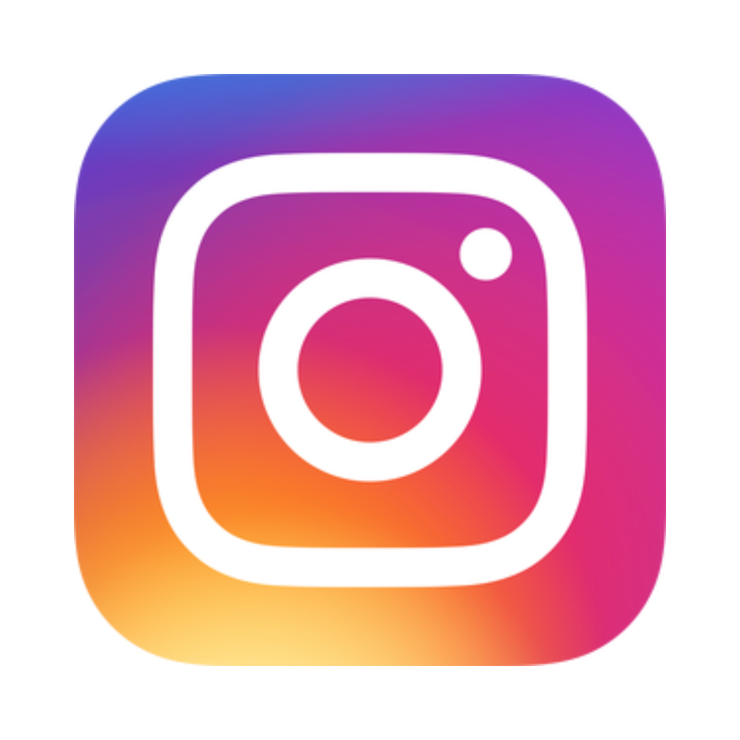 instagram button
